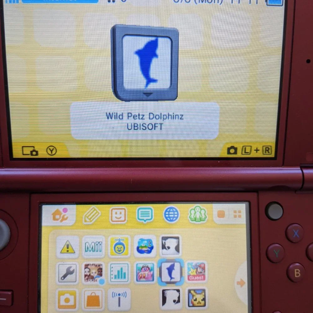 Petz Wild Animals Dolphinz for Nintendo DS